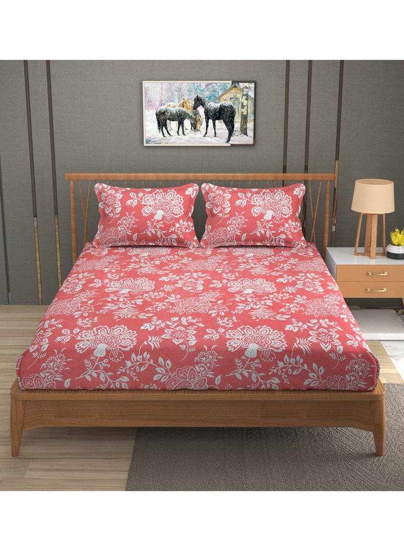 AURIO Premium Queen Size Fitted Bedsheet with 2 Pillowcases – Modern Design – Deep Pocket (180x200+35 cm, 72 x 78 + 10 inch) Soft, Breathable Microfiber Bedding Set for Home Comfort - Image 3